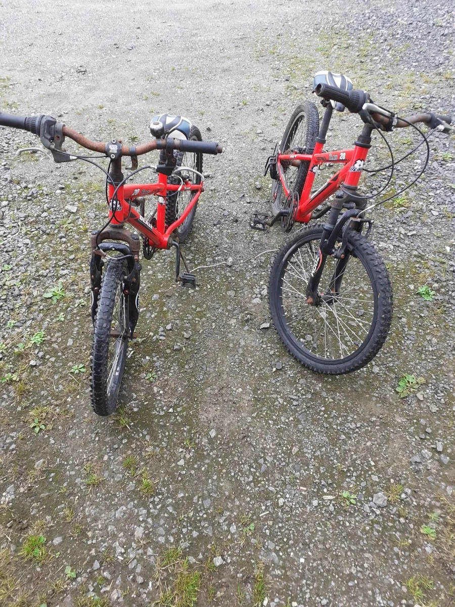 bicycle x2 - Image 1
