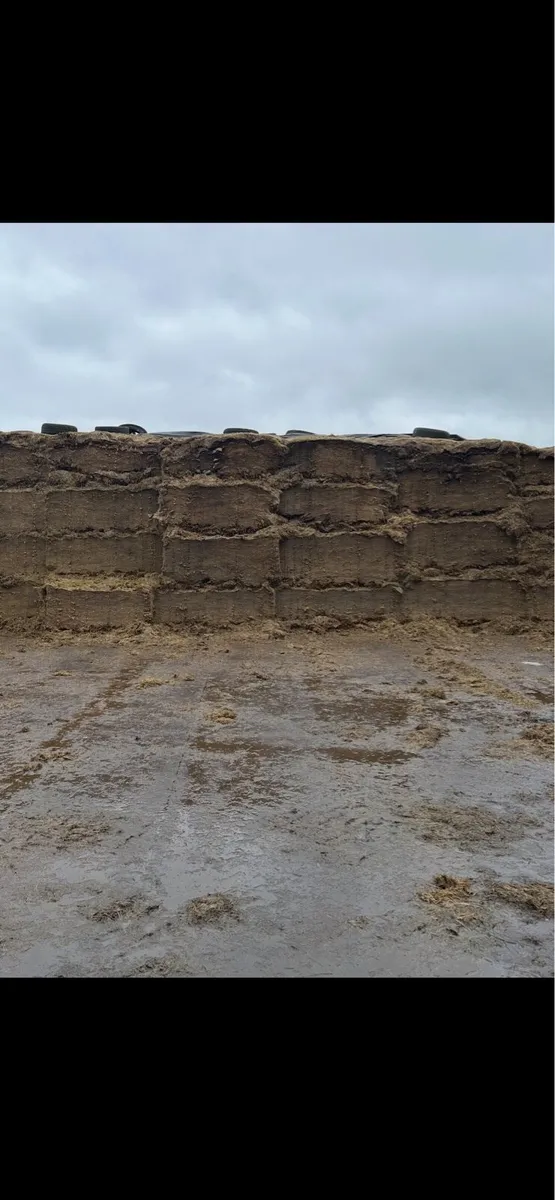 Silage