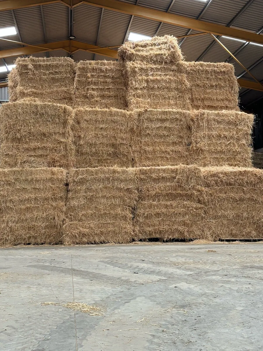 Straw - Image 1