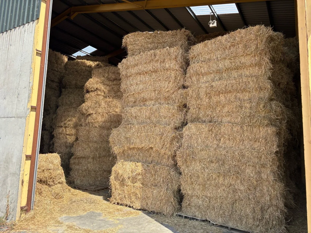 Hay Equine tested - Image 1