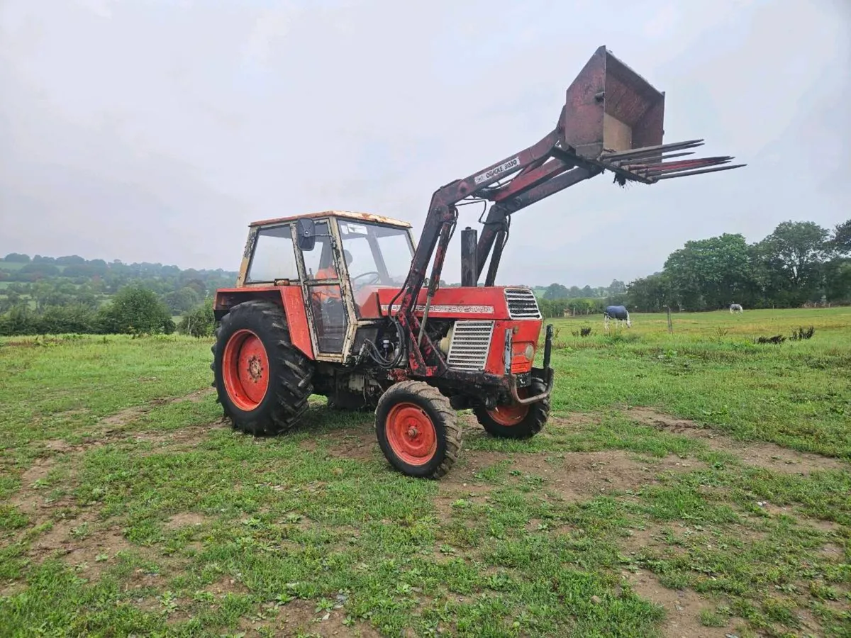 Zetor crystal 8011 - Image 3