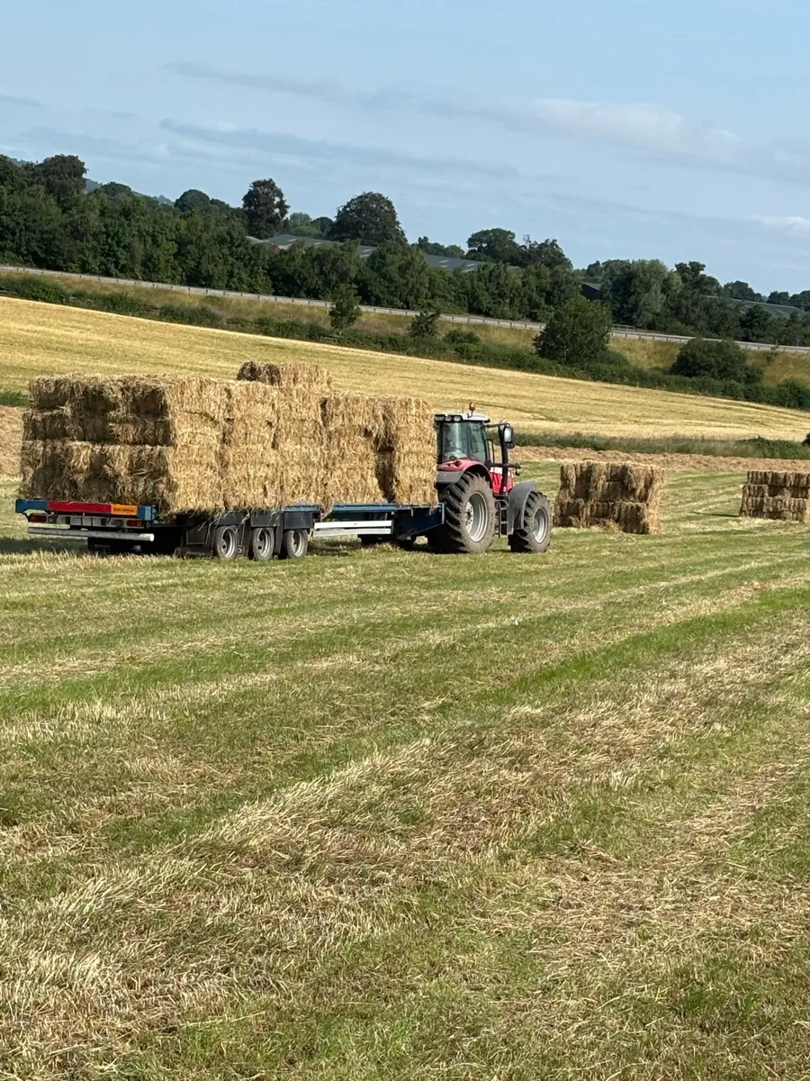 Hay Equine tested - Image 3