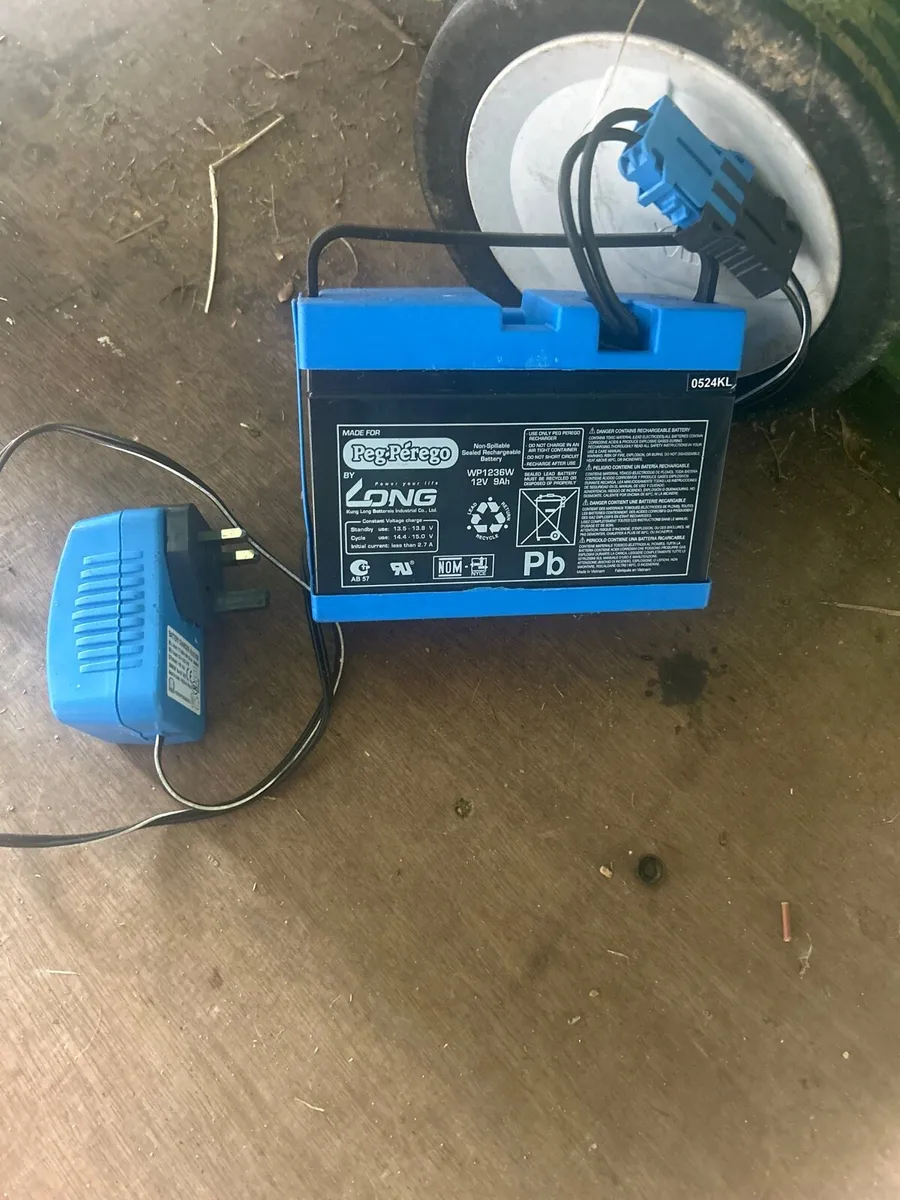 Peg-perego Batteries and charger - Image 1