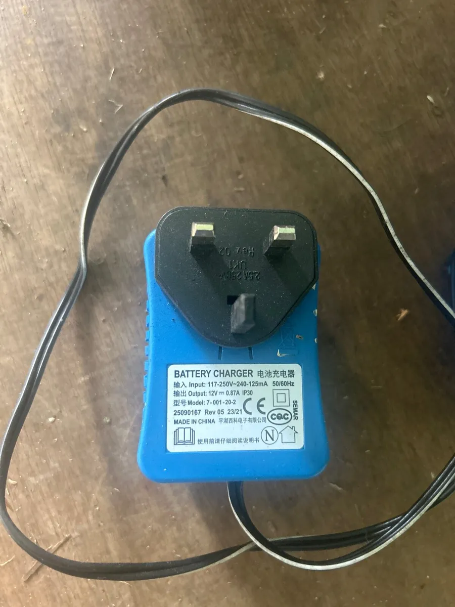 Peg-perego Batteries and charger - Image 4