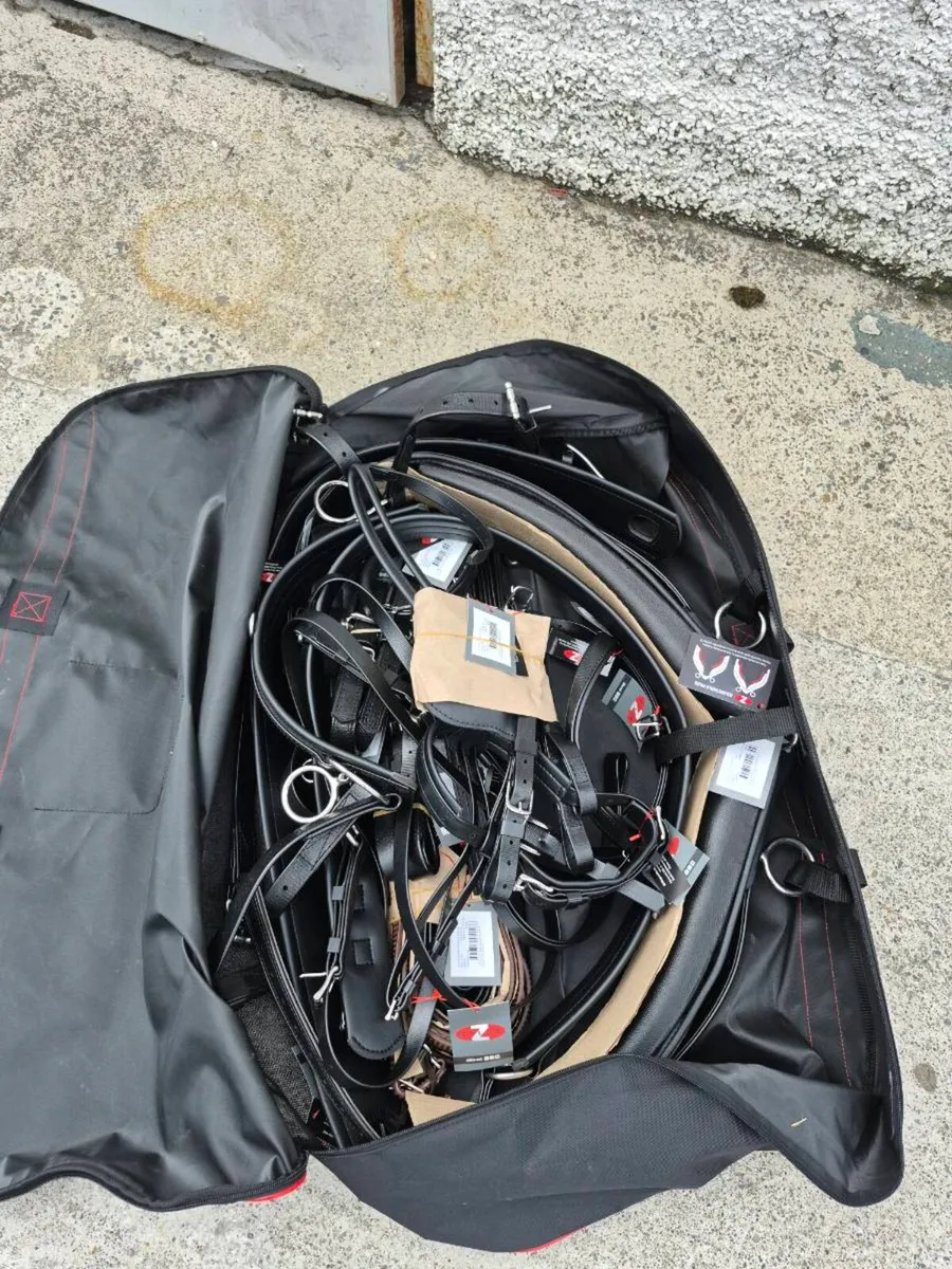 Driving Harness - Image 2