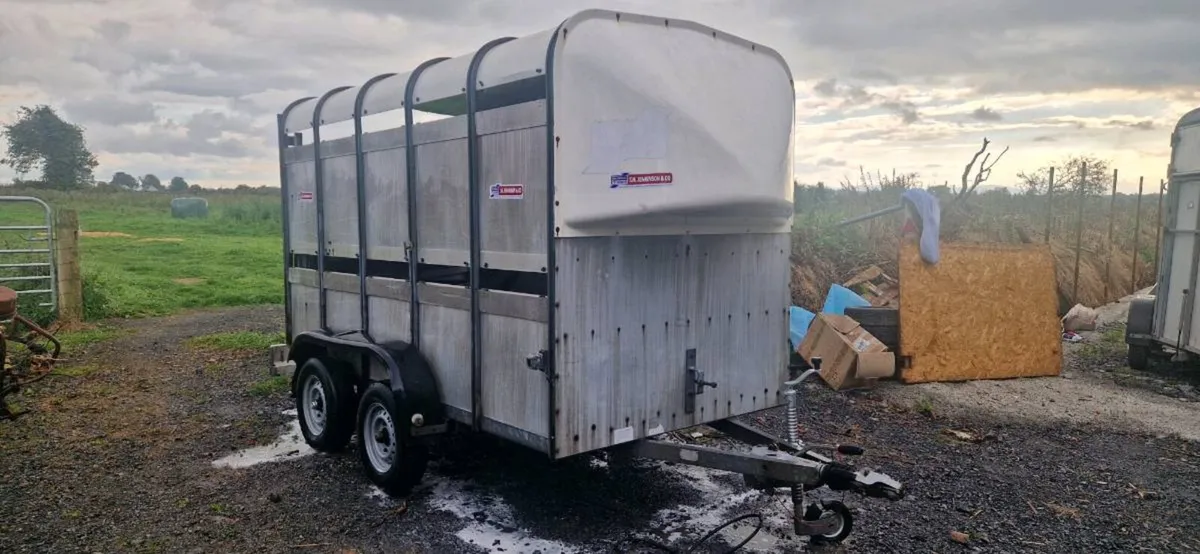 IFOR WILLIAMS 10x5 livestock trailer MINT - Image 1