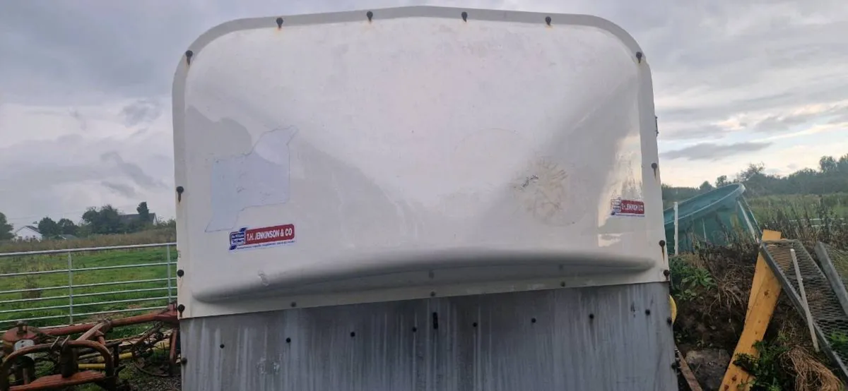 IFOR WILLIAMS 10x5 livestock trailer MINT - Image 2