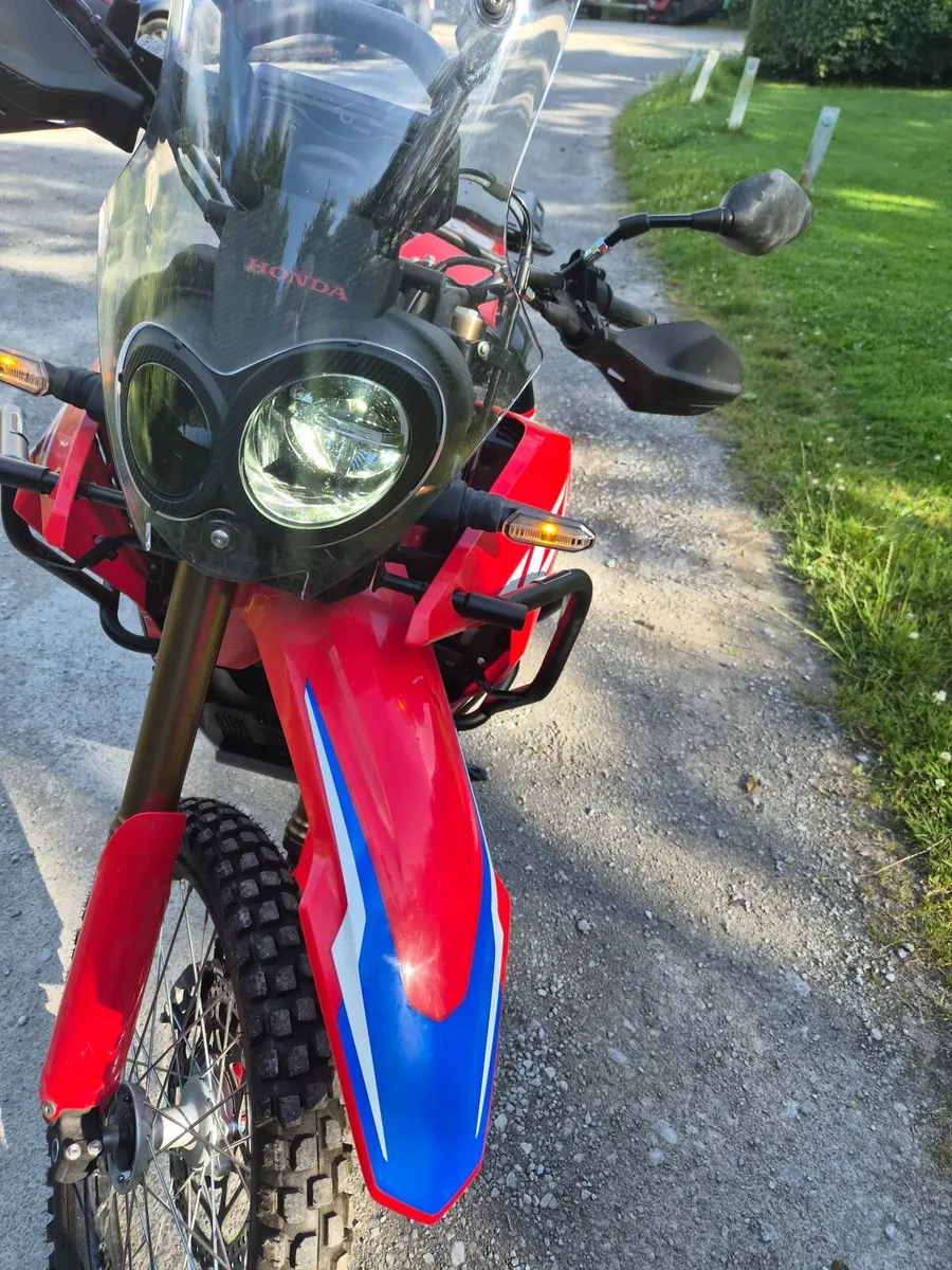 crf 300 rally - Image 4