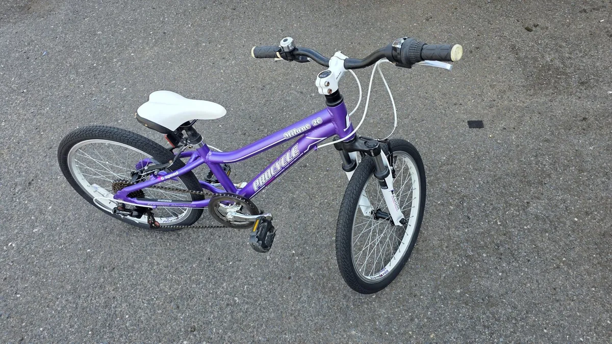Girls Procycle Milano 20” Bike – Ready to Ride - Image 1