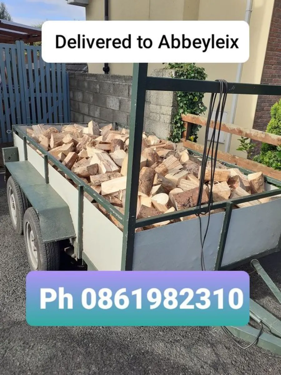 Trailer loads of mixed hardwood and softwood - Image 1