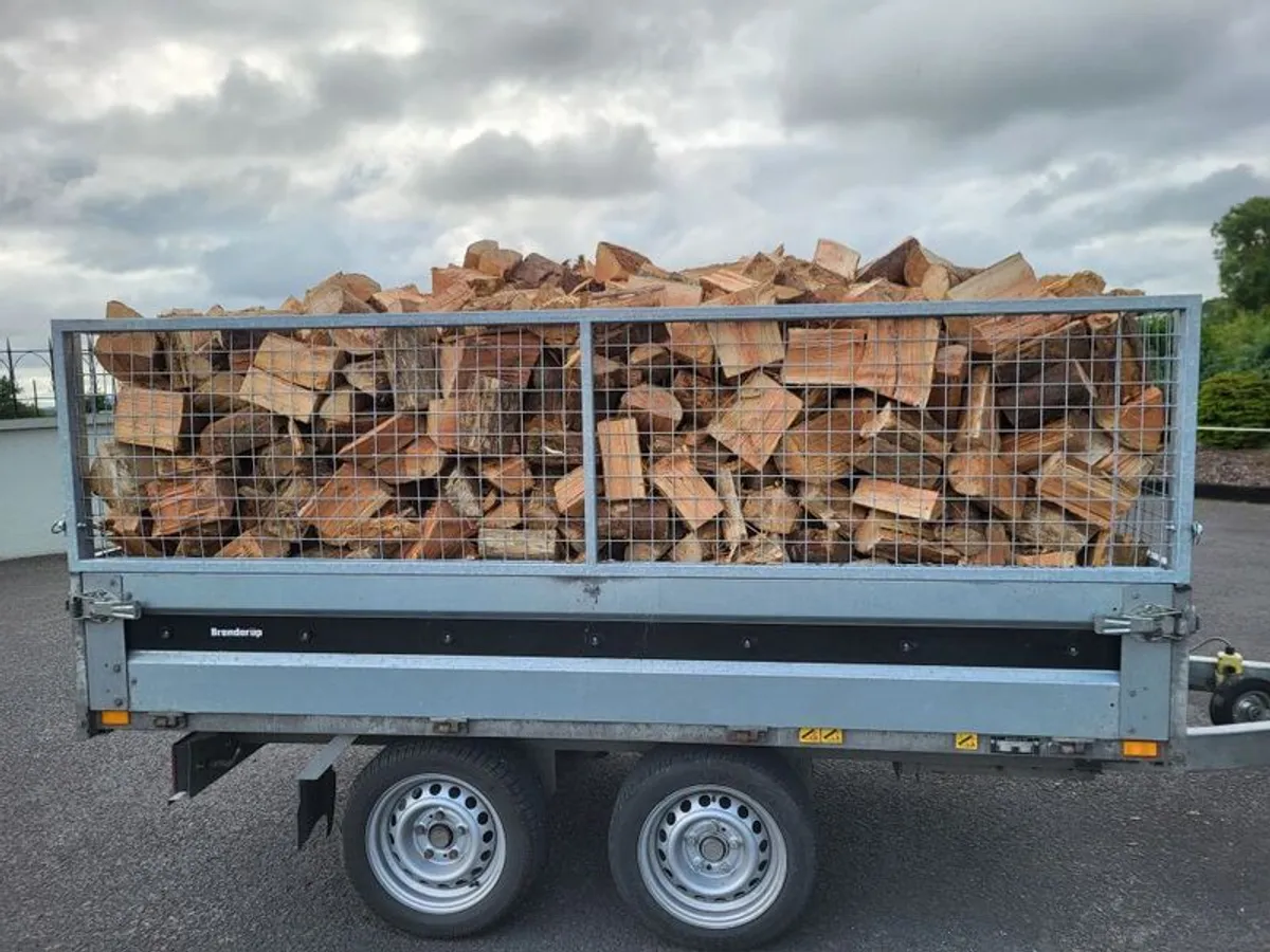 Trailer loads of mixed hardwood and softwood - Image 4