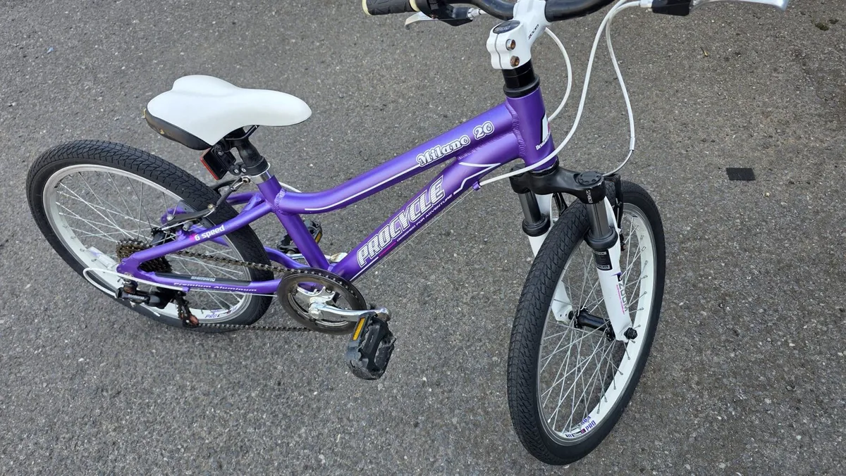 Girls Procycle Milano 20” Bike – Ready to Ride - Image 3