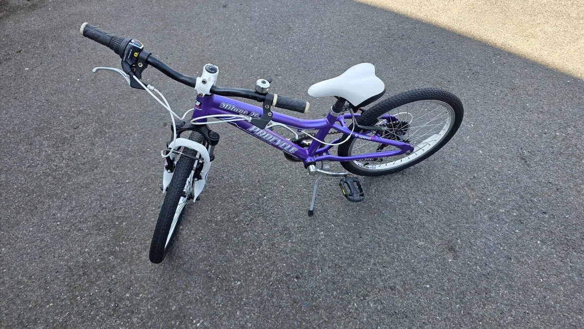 Girls Procycle Milano 20” Bike – Ready to Ride - Image 2