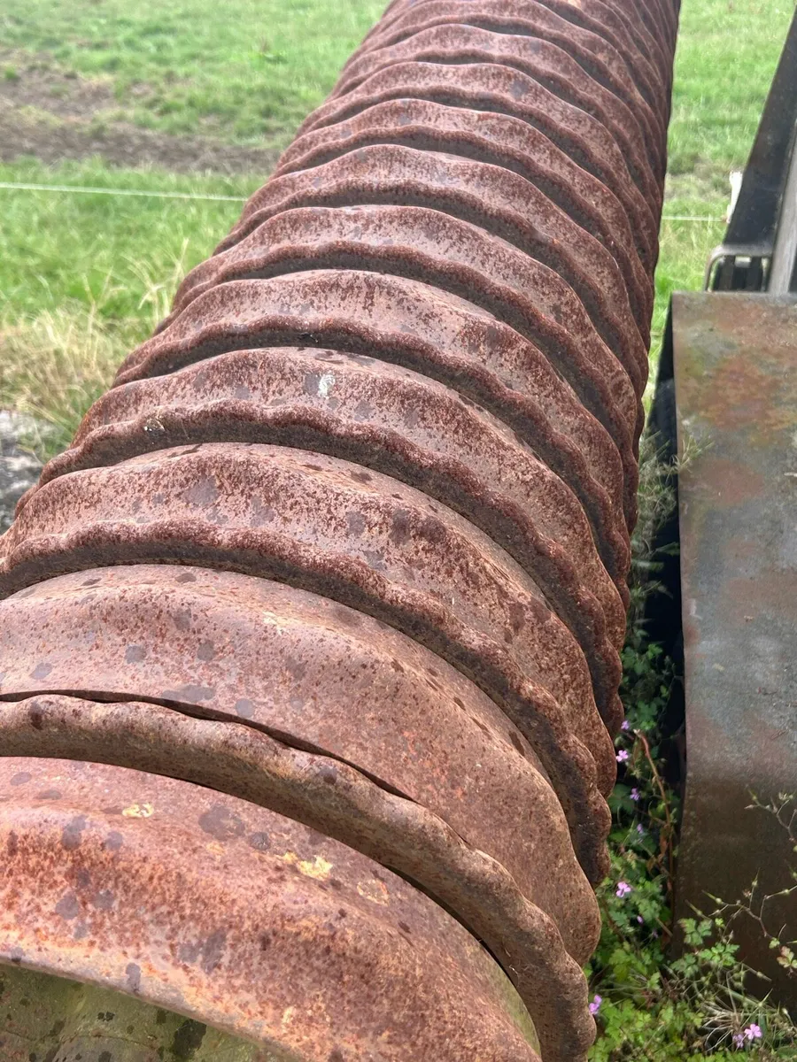 Ring roller - Image 2