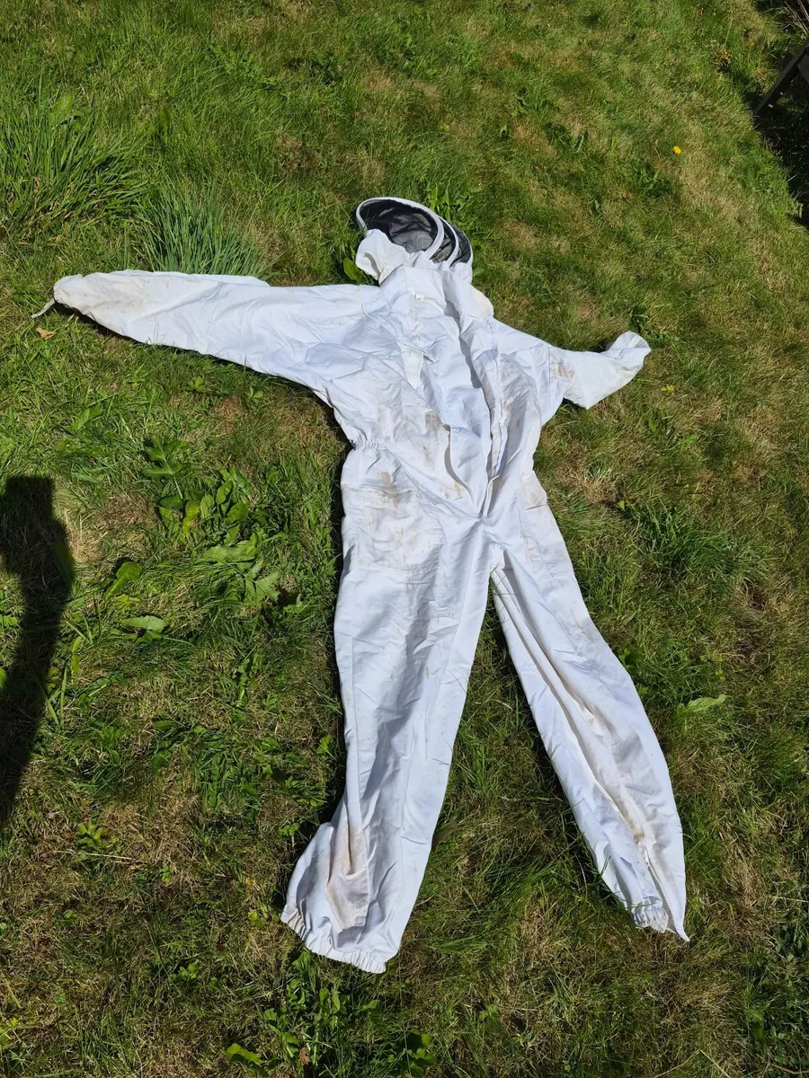 Bee suit - Image 1