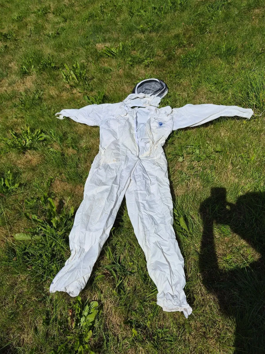 Bee suit - Image 2