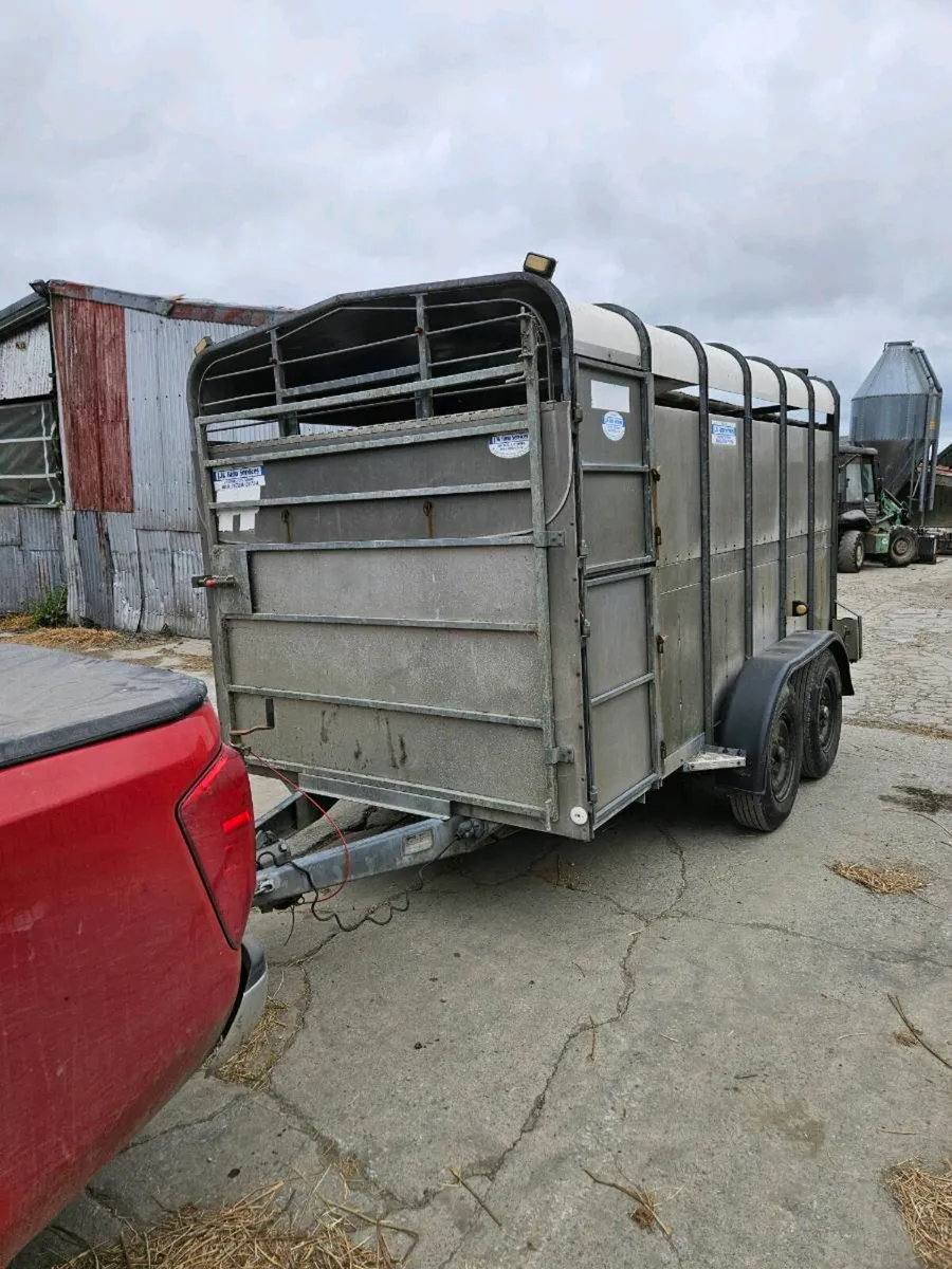 12x6 trailer Hudson cattle trailer - Image 3