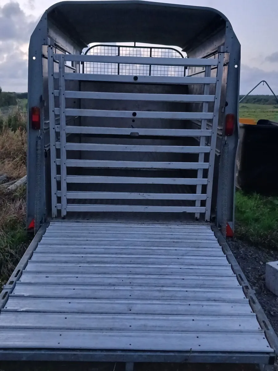 IFOR WILLIAMS Trailer - Image 4