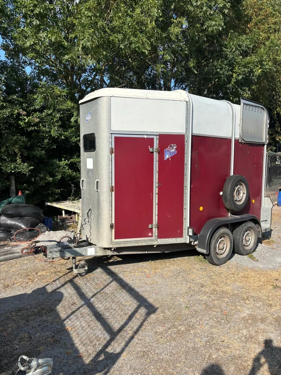 Ifor Williams horse box - Image 1