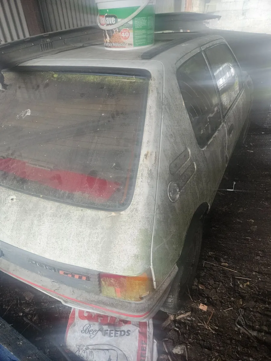 Peugeot  205 gti - Image 4