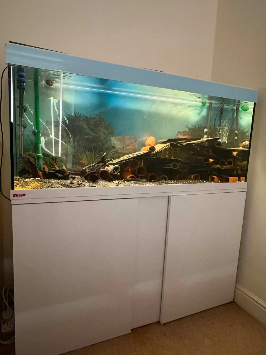 Aquarium 240L - Image 1