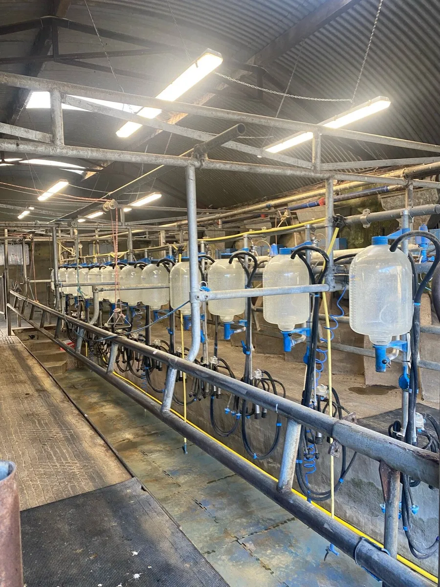 Dairymaster 12 unit milking parlour - Image 3