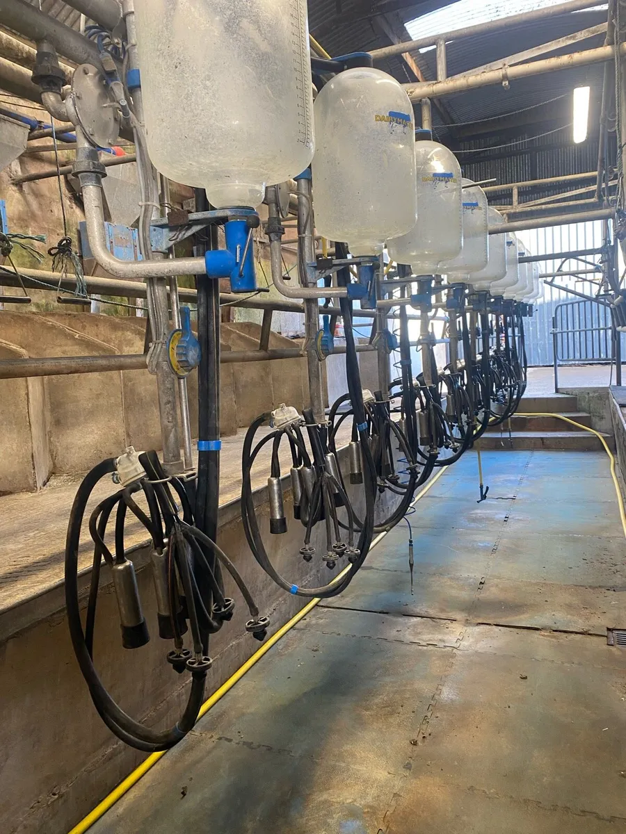 Dairymaster 12 unit milking parlour - Image 4