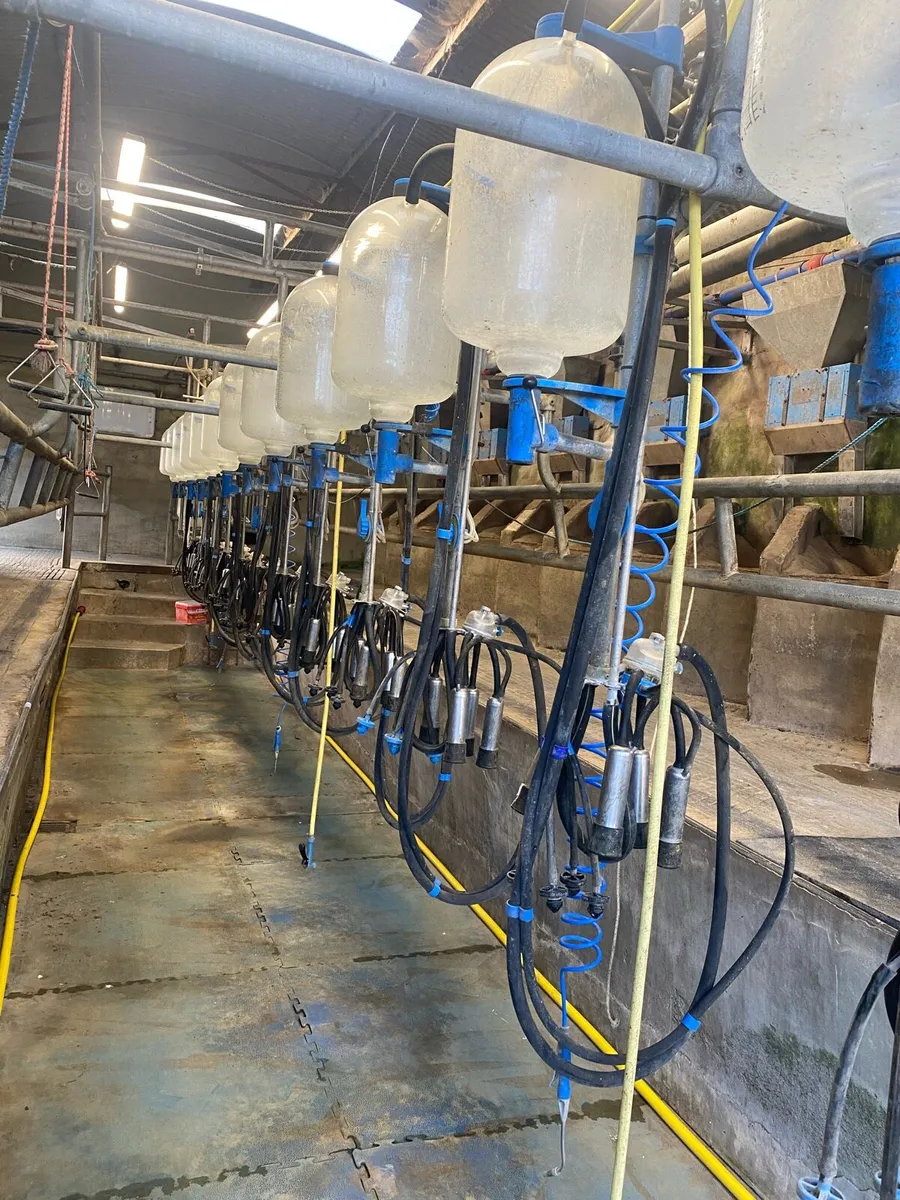 Dairymaster 12 unit milking parlour - Image 1