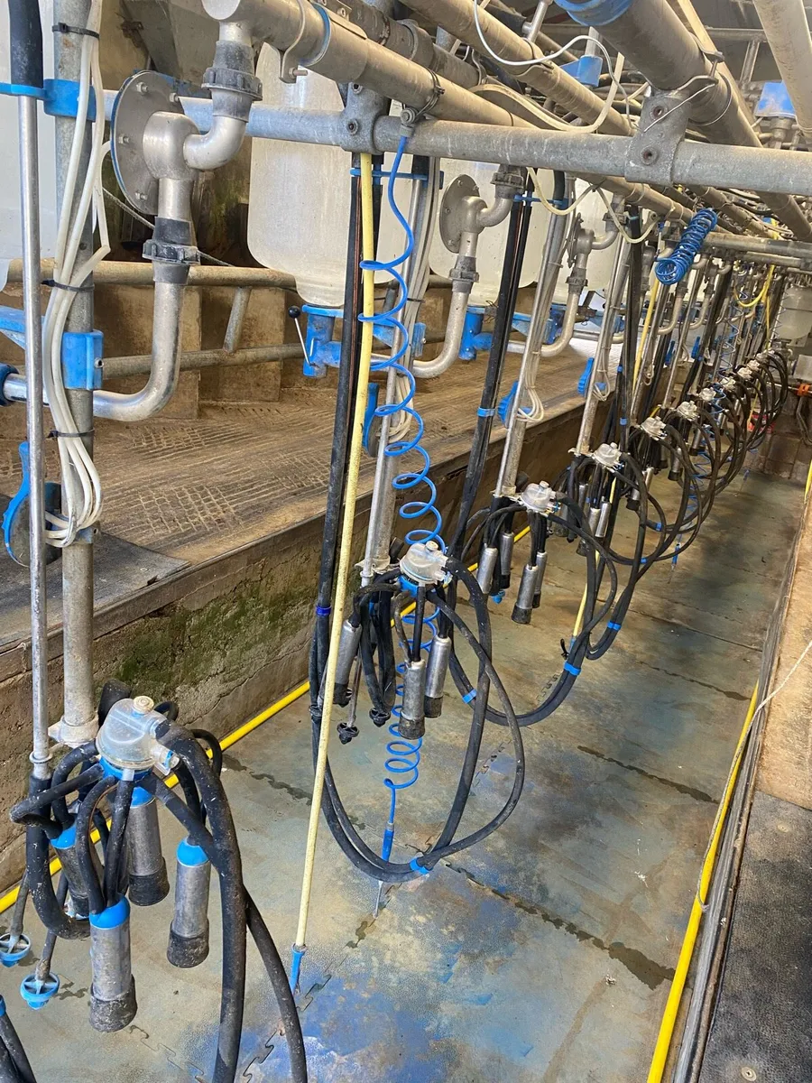 Dairymaster 12 unit milking parlour - Image 2
