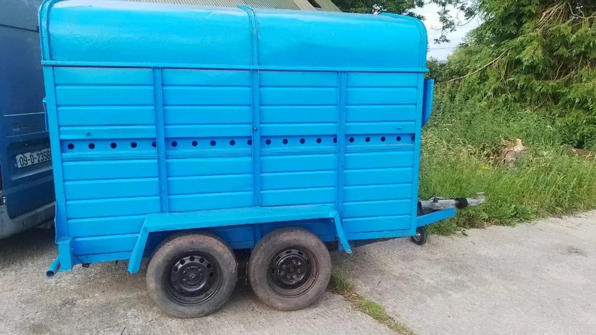 Cattle Trailer 8ft6  x 4ft6 - Image 3
