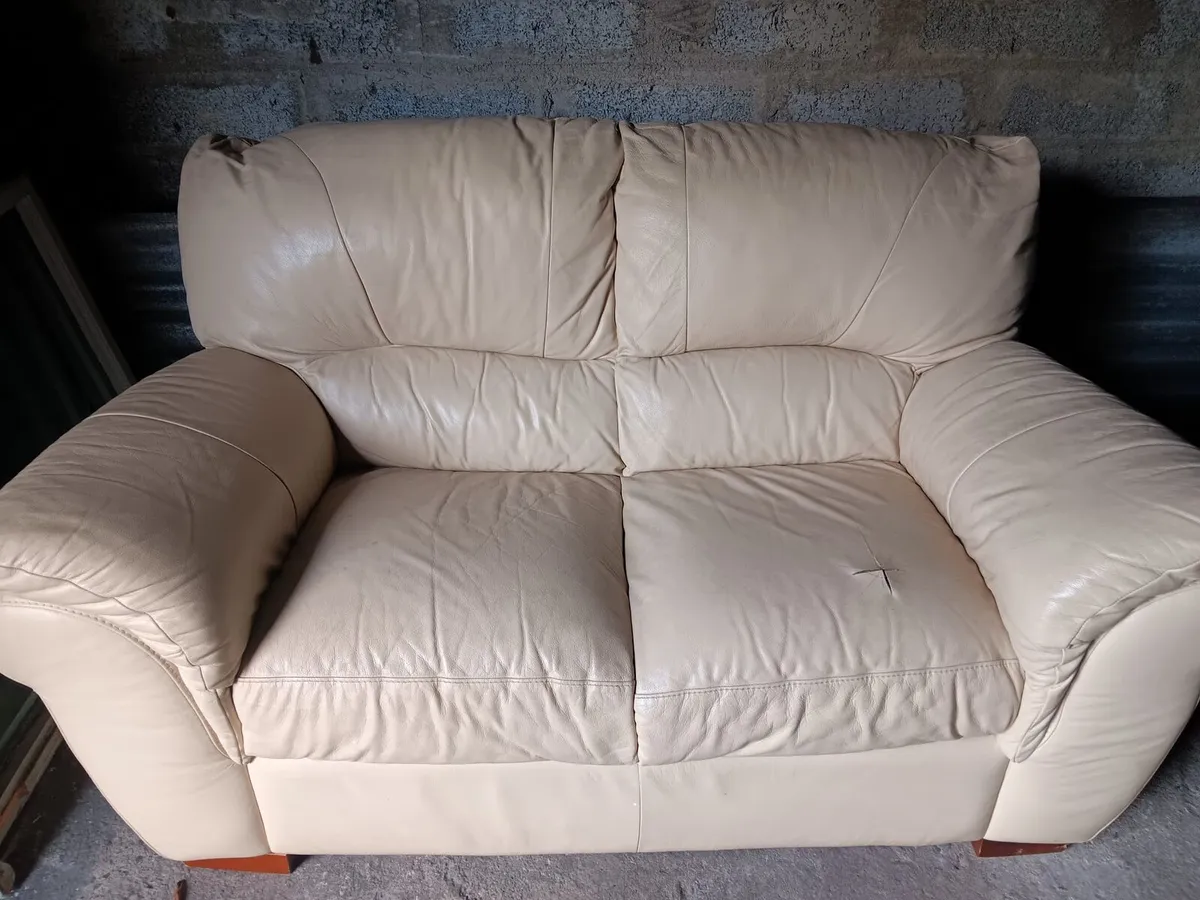 Free 2 seater leather couch
