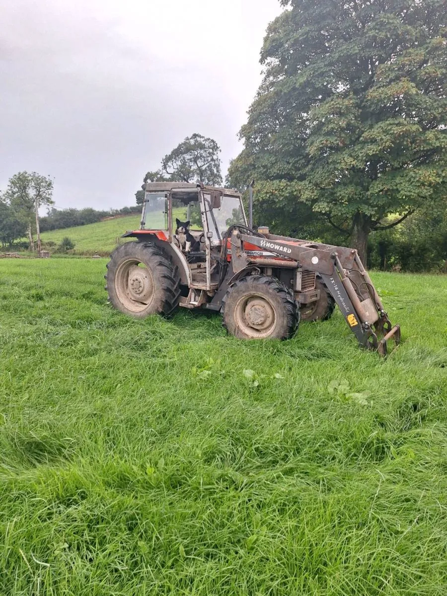 Massey fergususon 390 - Image 1