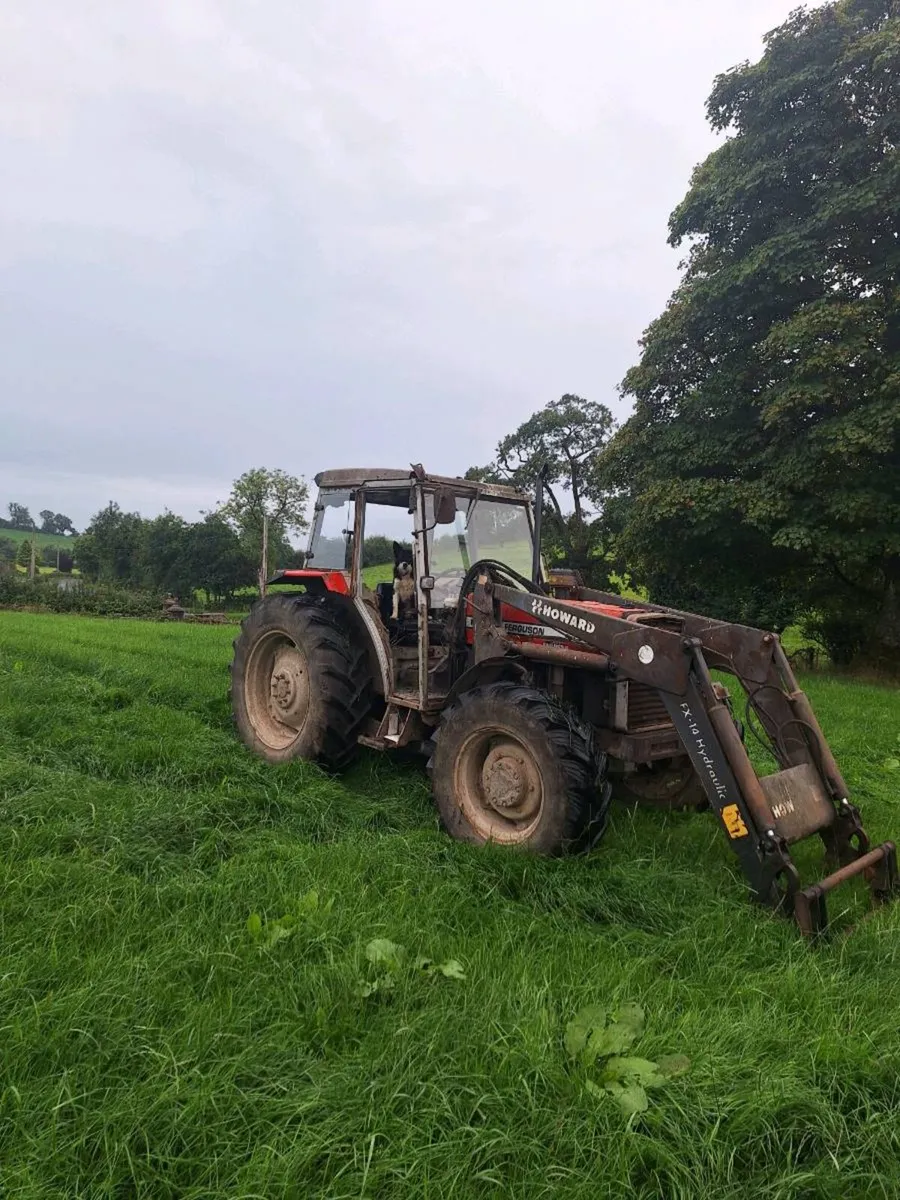 Massey fergususon 390 - Image 2