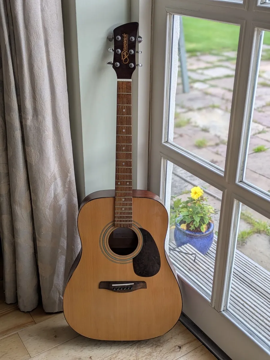 Brunswick BD200 Acoustic Guitar - Image 1