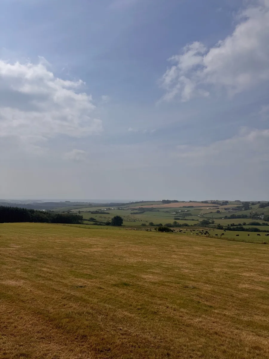 Seeking Dairy Farm to rent West cork