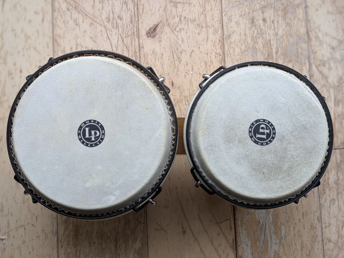 LP Latin Percussion Bongo Drum & Case - Image 2