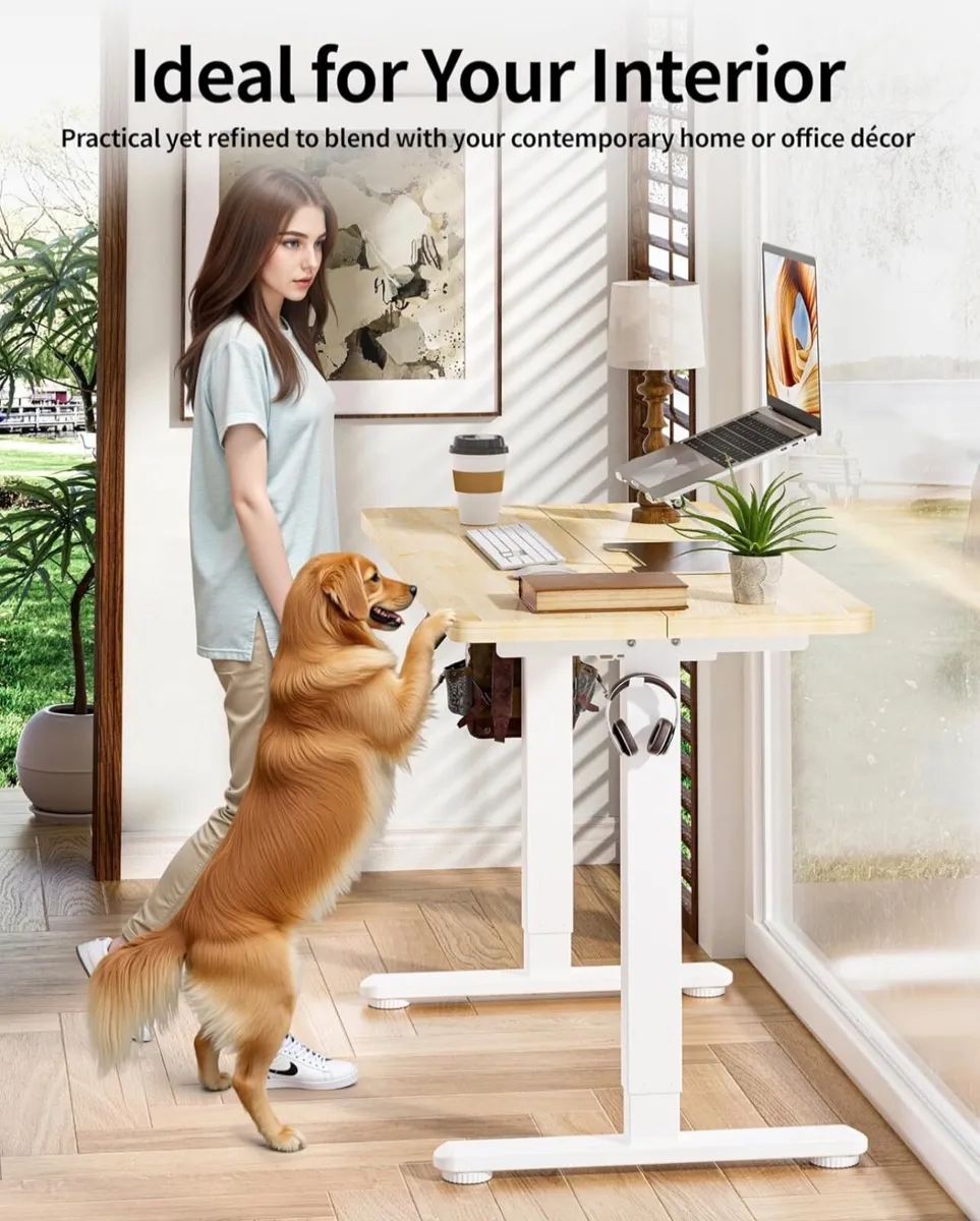 Electric Standing Desk 120x60cm Gaming Desk 3 Memo - Image 4