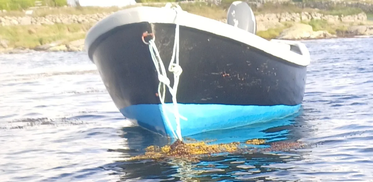 Fibreglass boat - Image 4