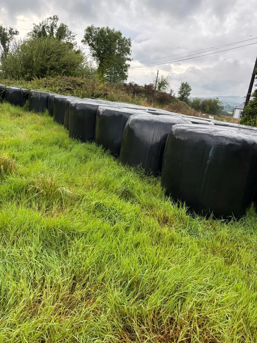 Silage for sale - Image 1