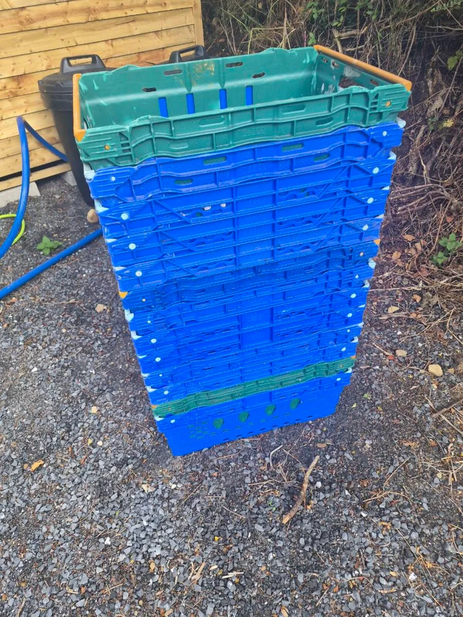 30 storage crates