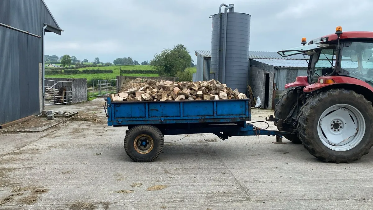 Firewood - Image 1