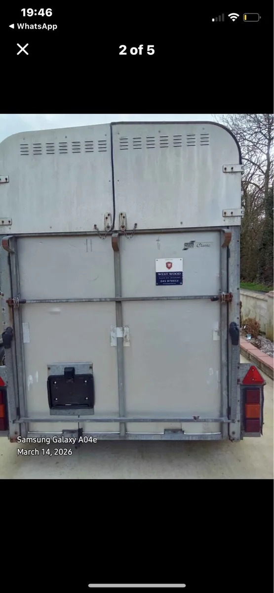505 Westwood Classic horsebox - Image 2