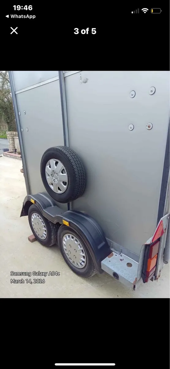 505 Westwood Classic horsebox - Image 3