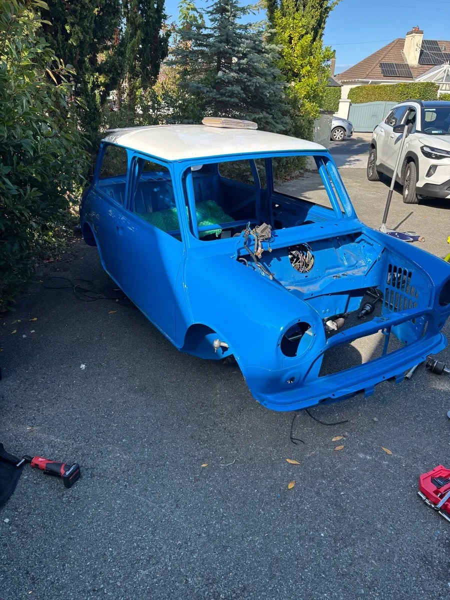 Classic mini “ONLY SHELL” - Image 3