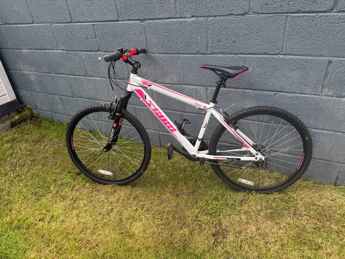 Mountain Bike - Image 3