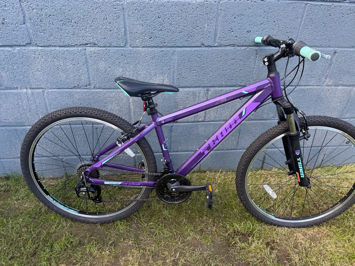 Mountain Bike - Image 4