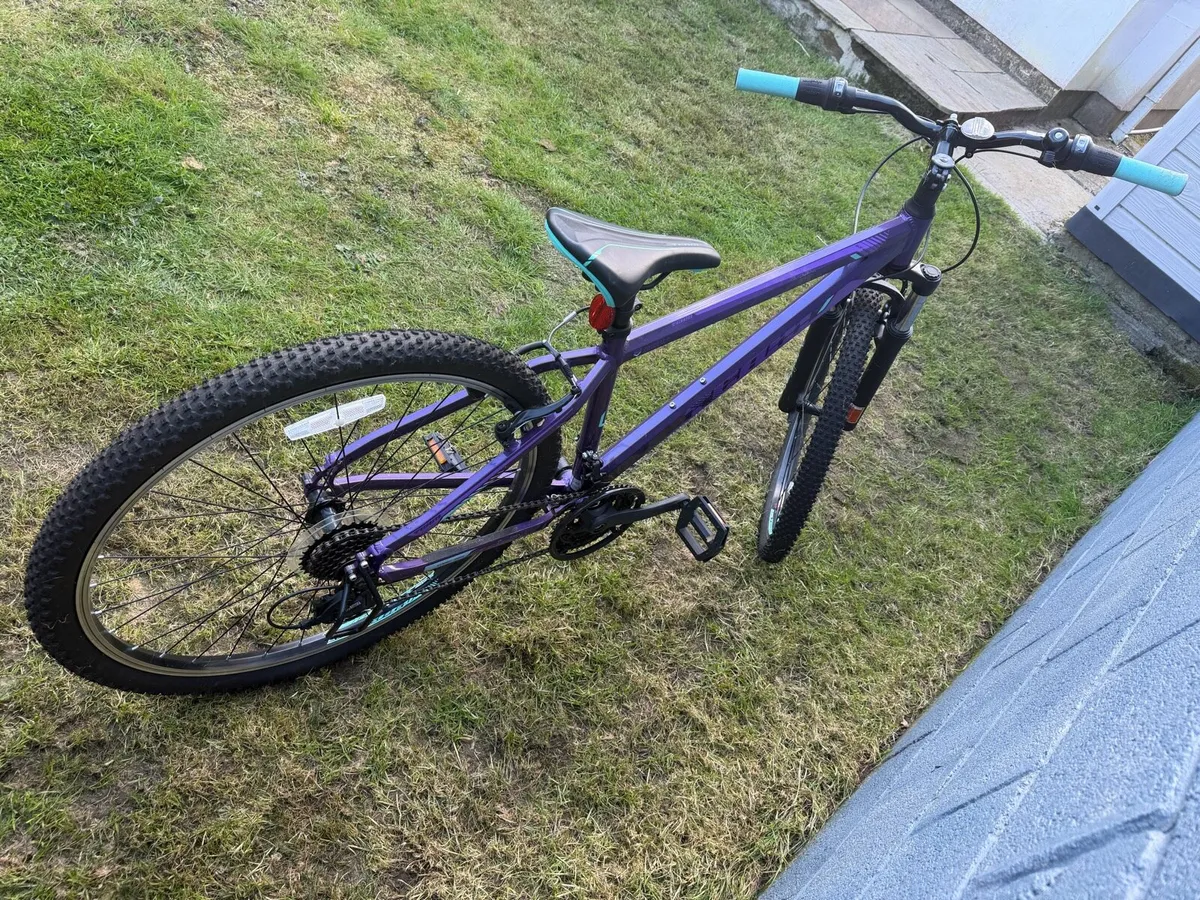 Mountain Bike - Image 3
