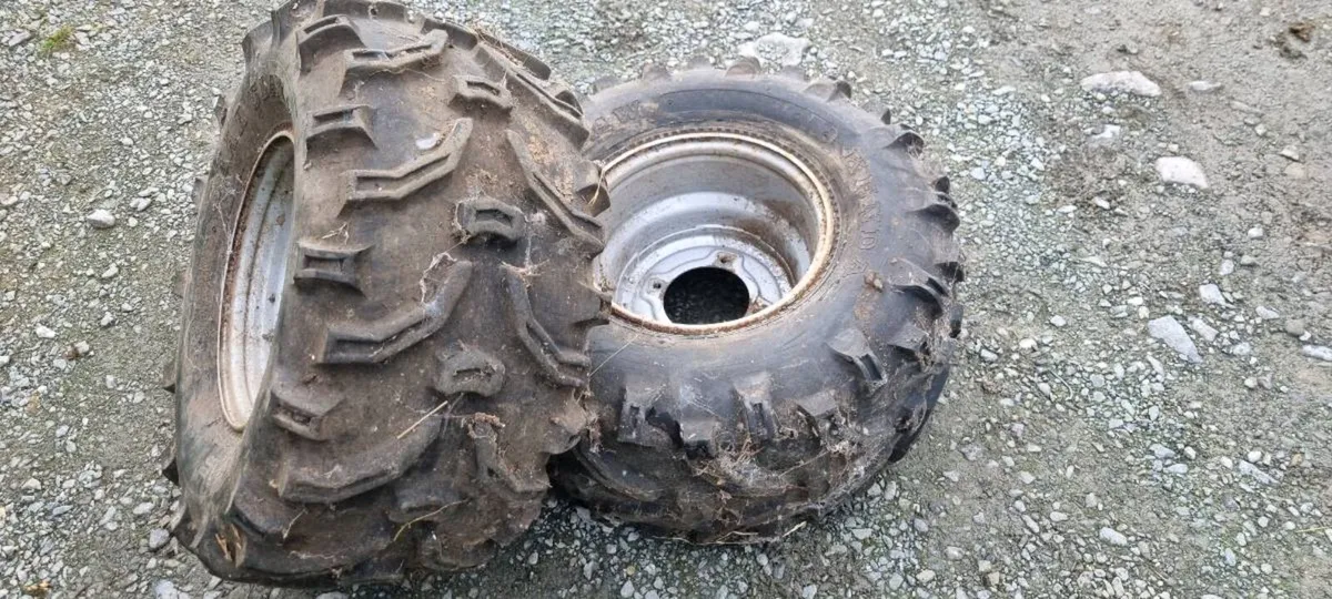 Bear claw tyres - Image 1