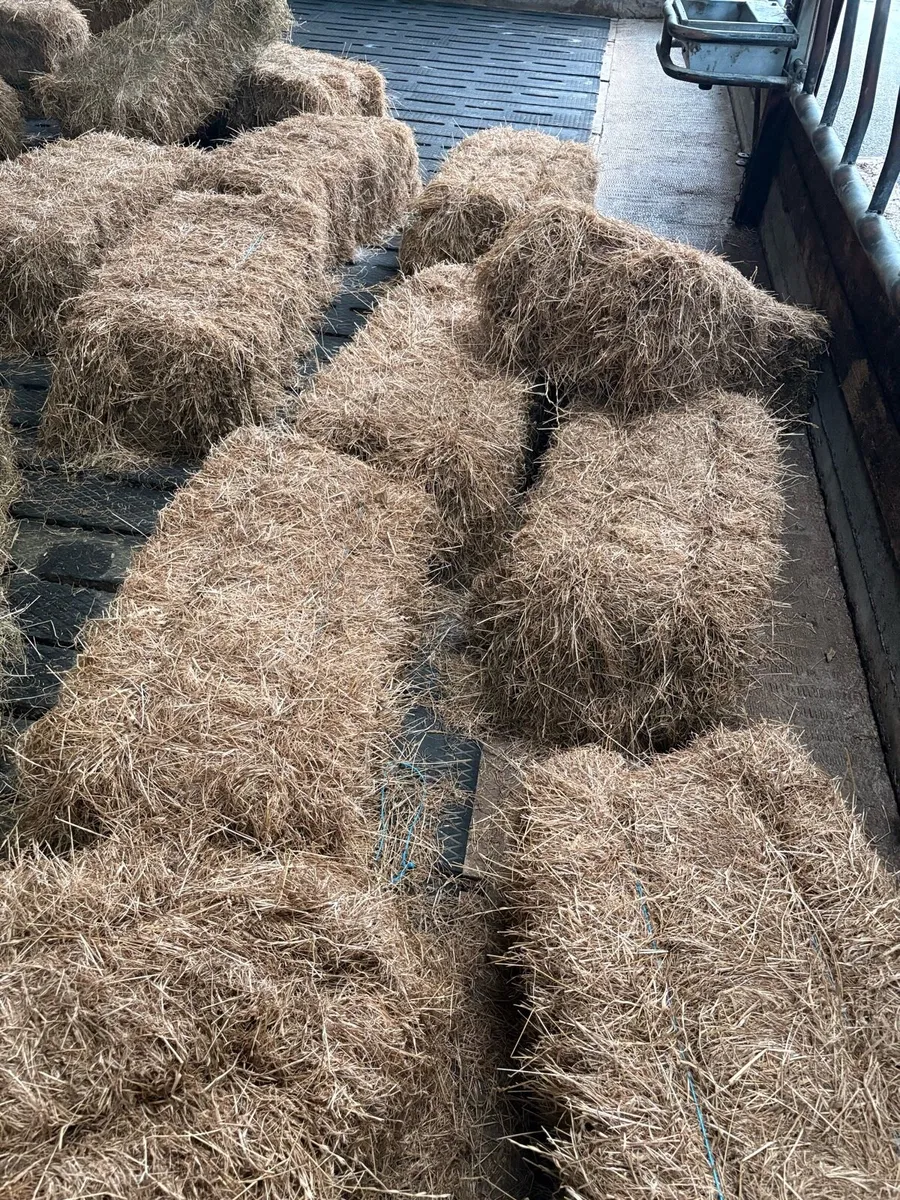 Hay bales