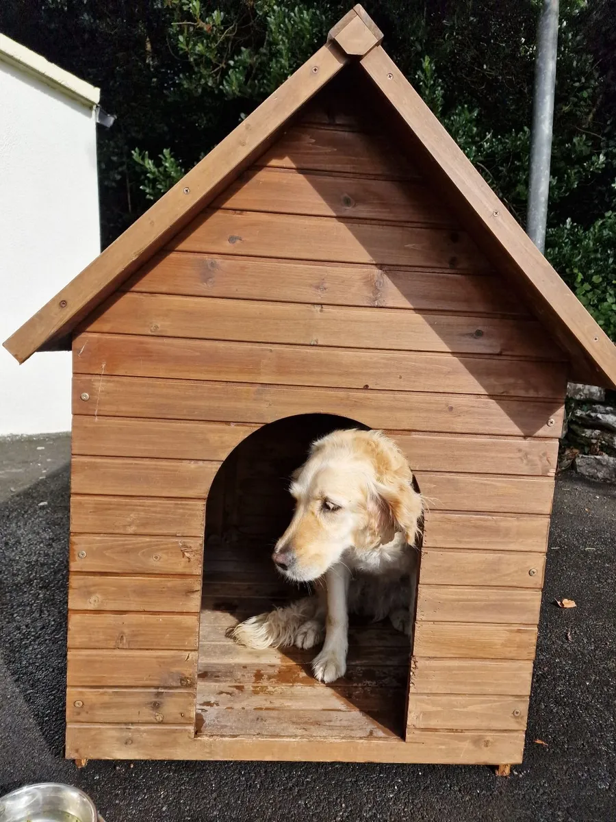 Dog kennel - Image 4